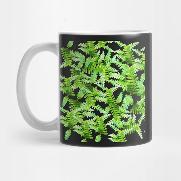 Fern Fronds en Masse by VespersEmporium